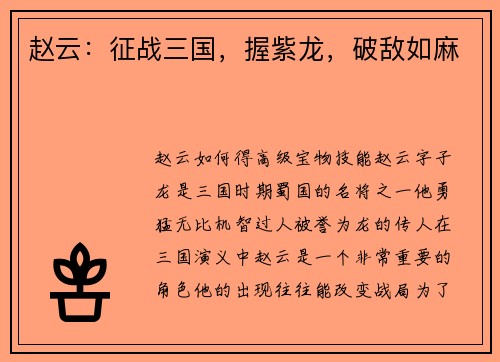 赵云：征战三国，握紫龙，破敌如麻