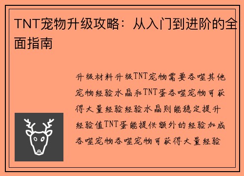 TNT宠物升级攻略：从入门到进阶的全面指南