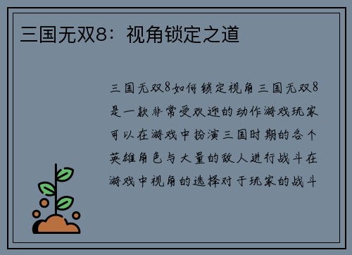 三国无双8：视角锁定之道